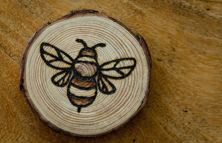 Wood Burning Designs